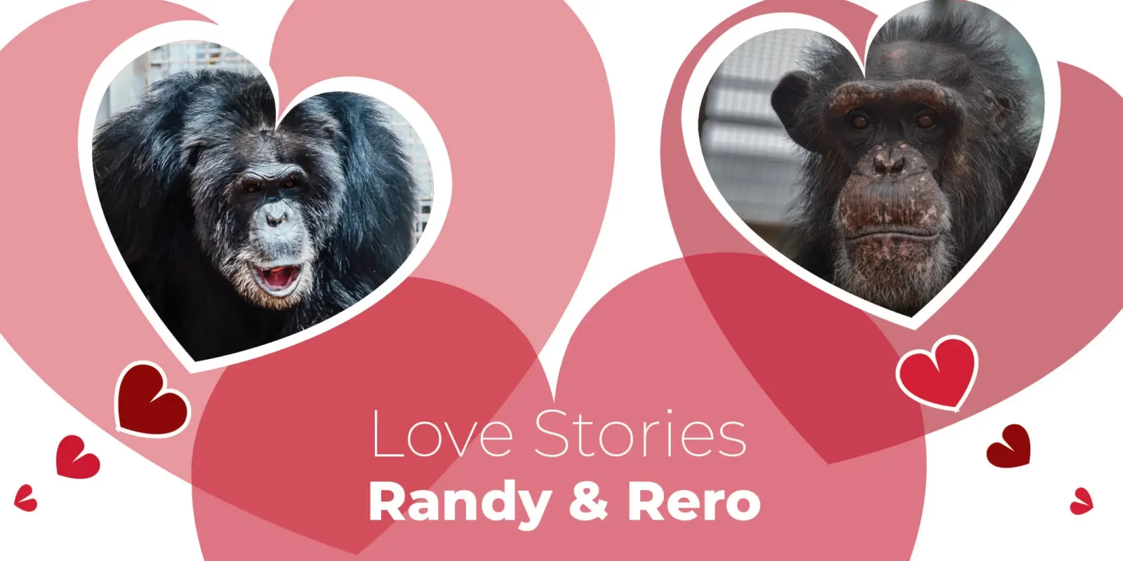 Love Stories: Randy & Rero (The Bromance)