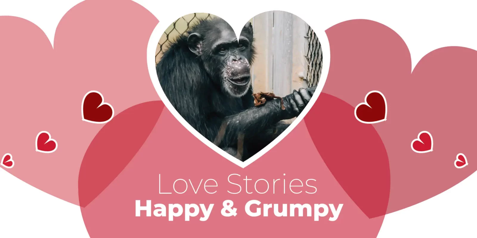 Love Stories: Happy & Grumpy