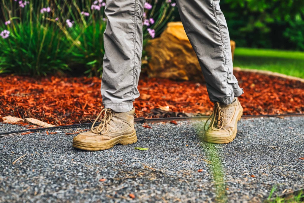 Caregivers wear steel toed shoes to work and the chimps love them