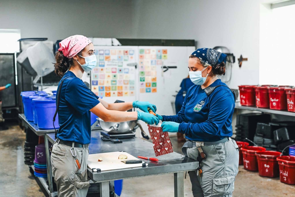 Chimpanzee caregivers prepare enrichment for the chimps in uniform