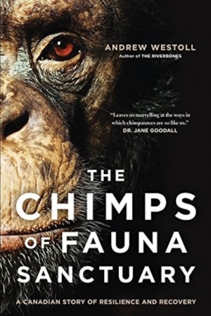 The Chimps of Fauna Sanctuary Book Cover