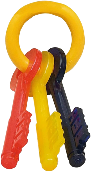 key dog toy